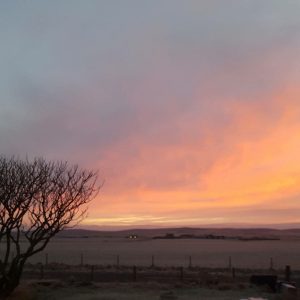 Life in Orkney: A January Roundup