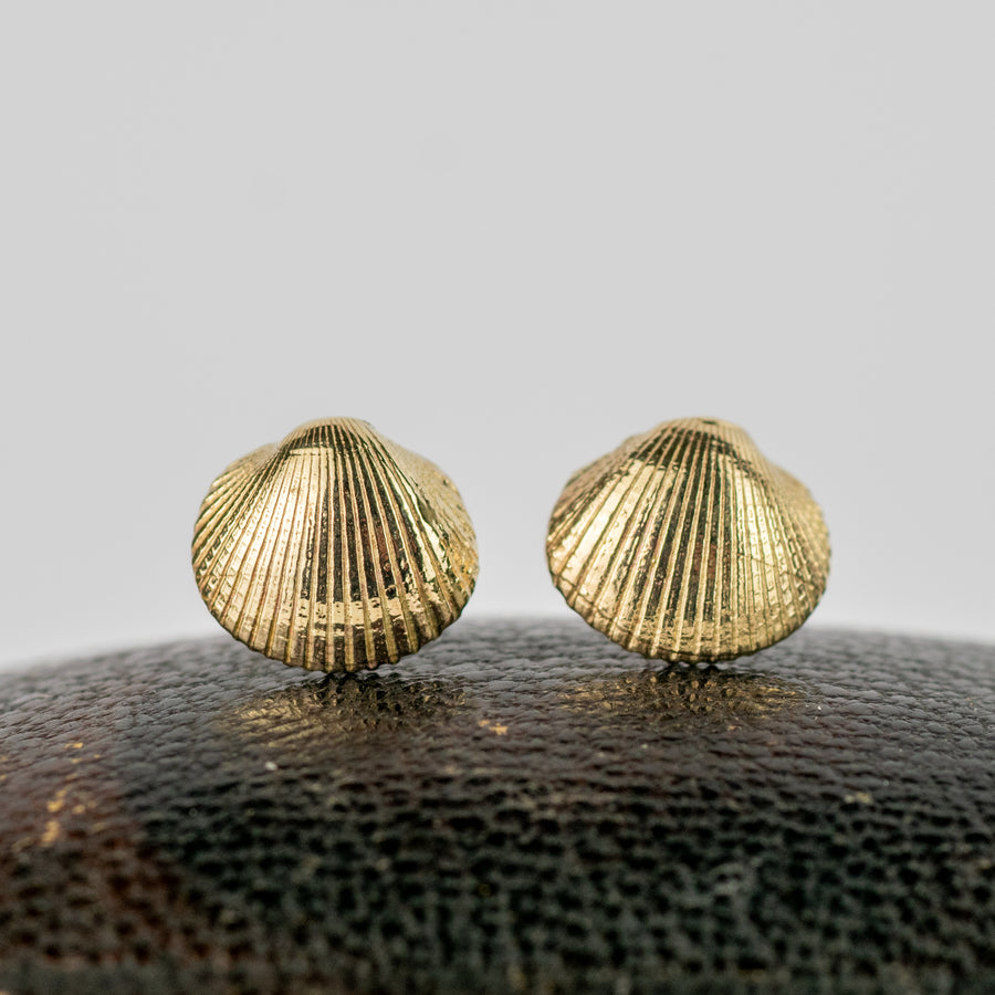 Mini Gold Cockle Shell Stud Earrings