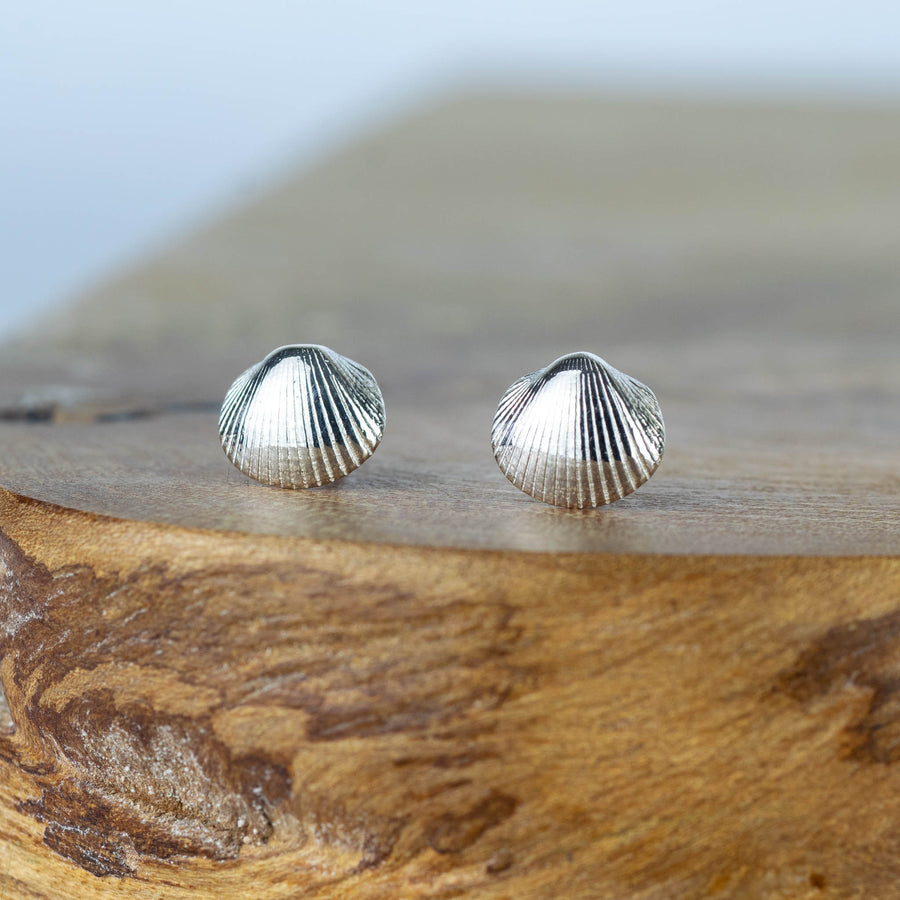 Mini Silver Cockle Shell Stud Earrings