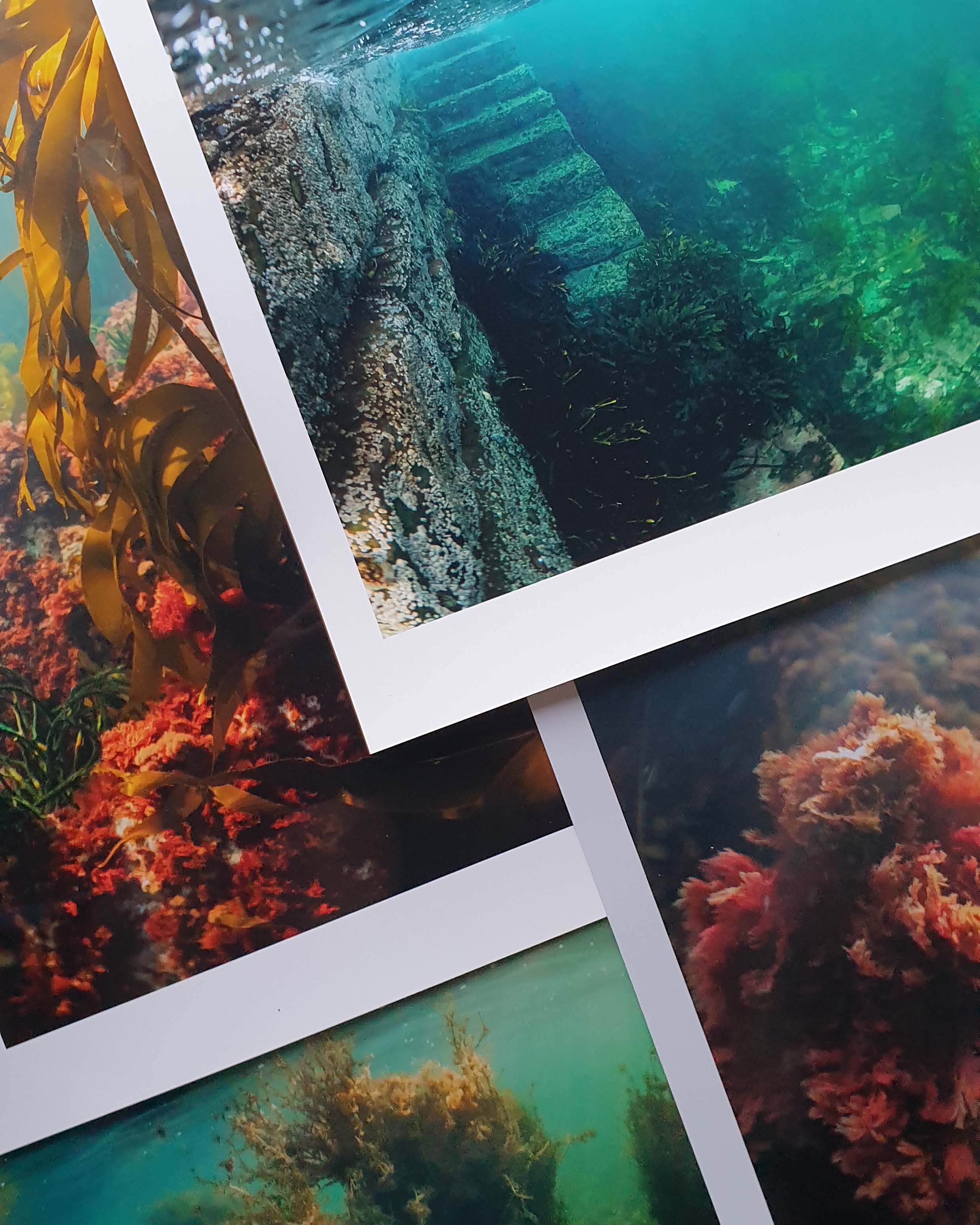 Underwater Prints