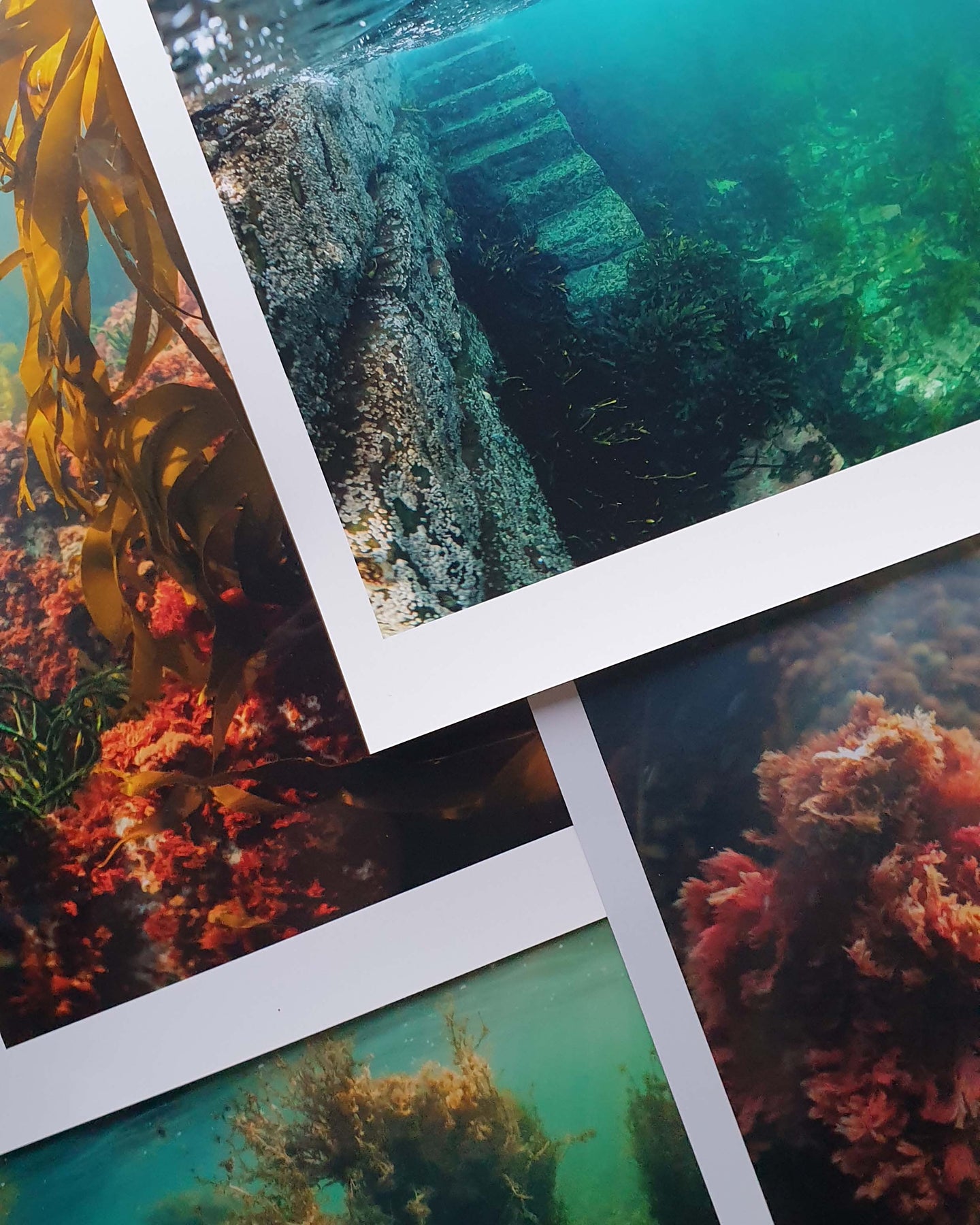 Underwater Prints