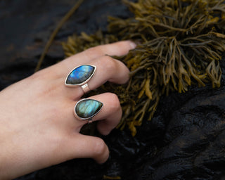 A close-up of a person's hand resting on dark wet rocks with seaweed, wearing two silver rings with oval blue-green  labradorite gemstones.