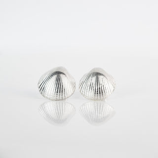 Large Silver Cockle Shell Stud Earrings