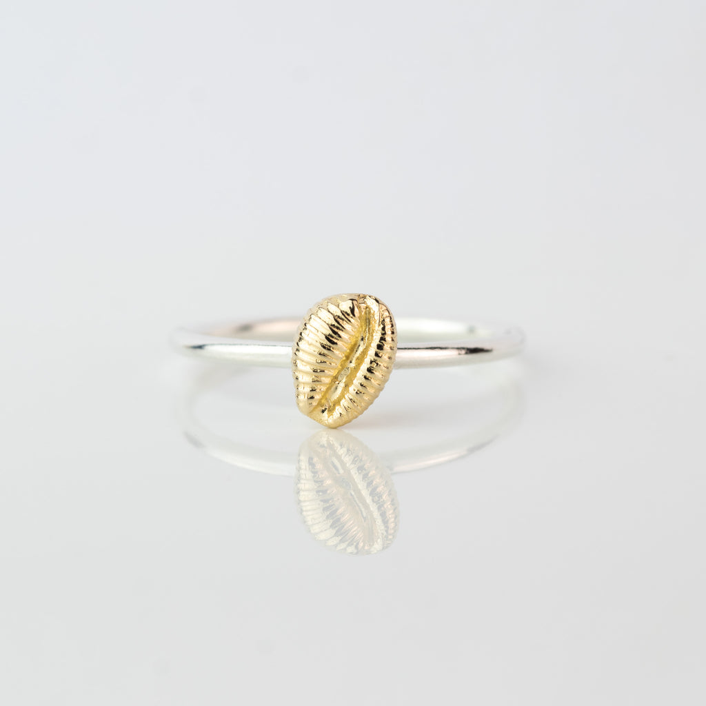 Mini Groatie Buckie Shell Gold & Silver Stacking Ring – Alison Moore ...