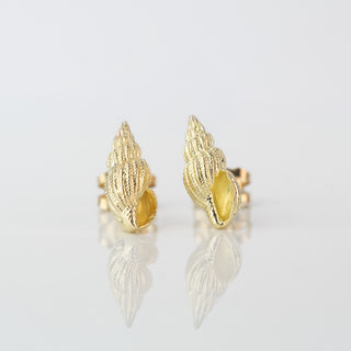 Mini Gold Whelk Shell Stud Earrings
