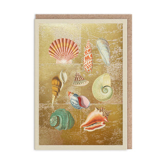 Shell Collection Greeting Card (12006)