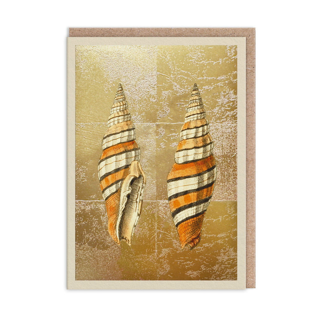 Shells Mini Greeting Card (14372) – Alison Moore Designs