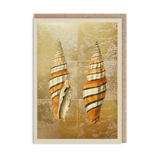 Shells Mini Greeting Card (14372)