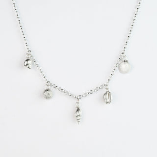 Peedie Shell Collector Charm Necklace
