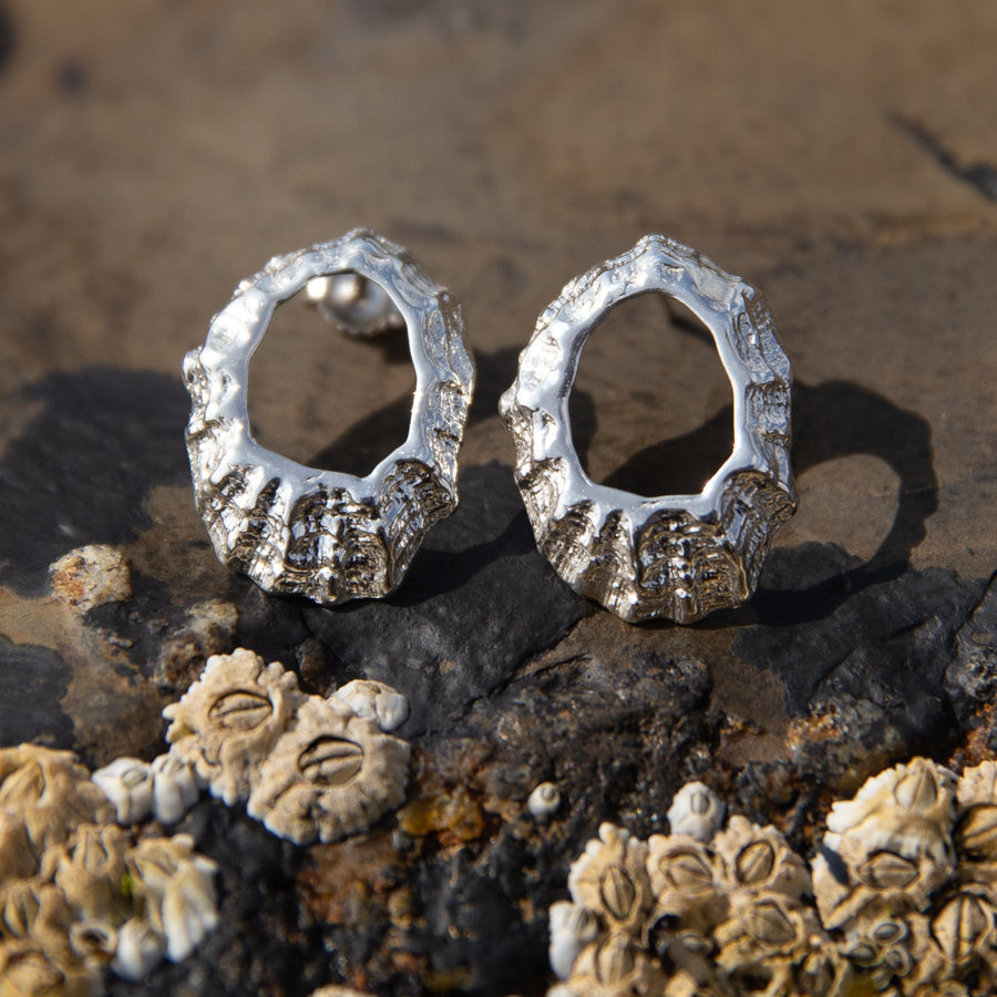 Silver Limpet Shell Studs