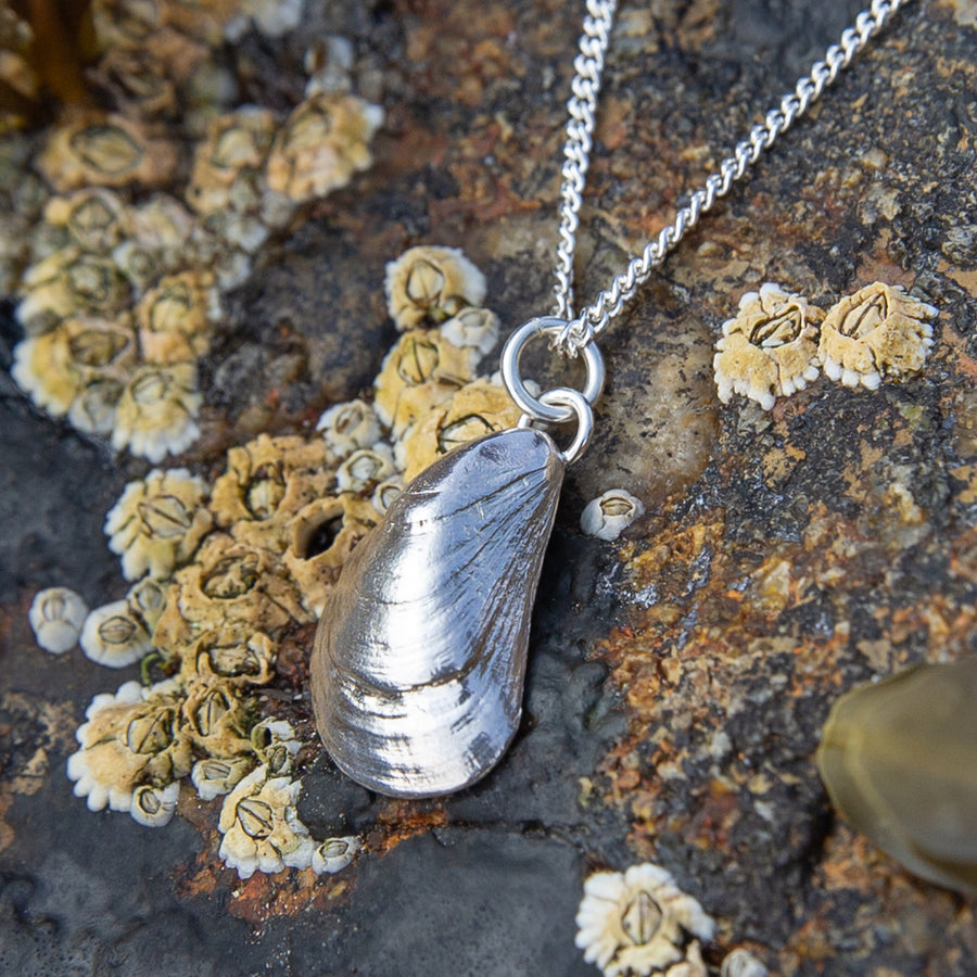 Silver Horse Mussel Shell Pendant