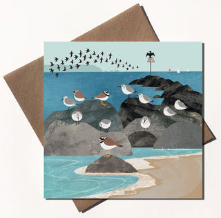 Dunlin and Ringed Plover Card