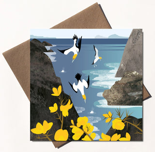Gannets Card
