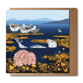 Seals and Sea Urchin Card