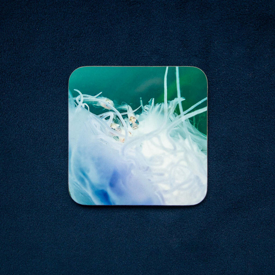 Blue Jellyfish & Friends - Orkney Underwater Drinks Coaster