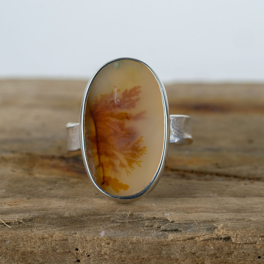 No. 108 - Silver Dendritic Agate Ring - Size X 1/2