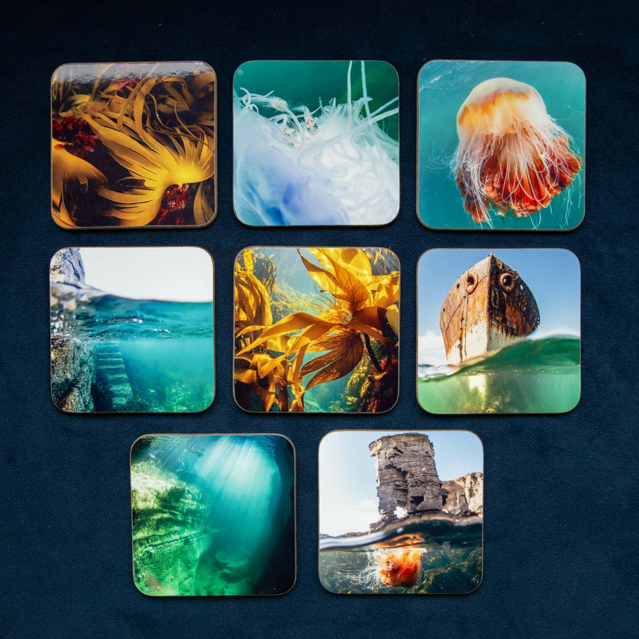 Kelp Fronds - Orkney Underwater Drinks Coaster