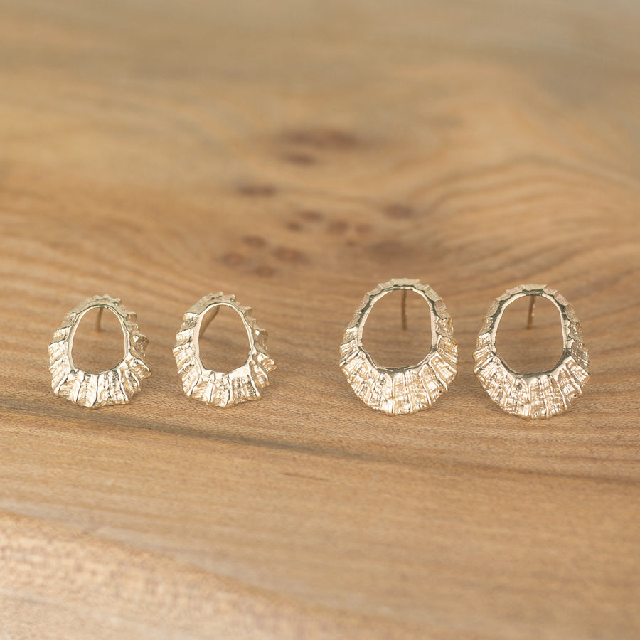 Large Gold Limpet Shell Studs