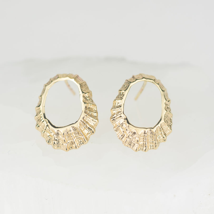 Large Gold Limpet Shell Studs