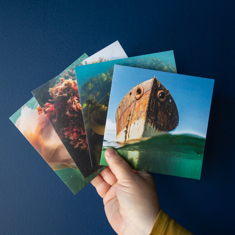 Four Orkney Underwater Greetings Cards - Pack One