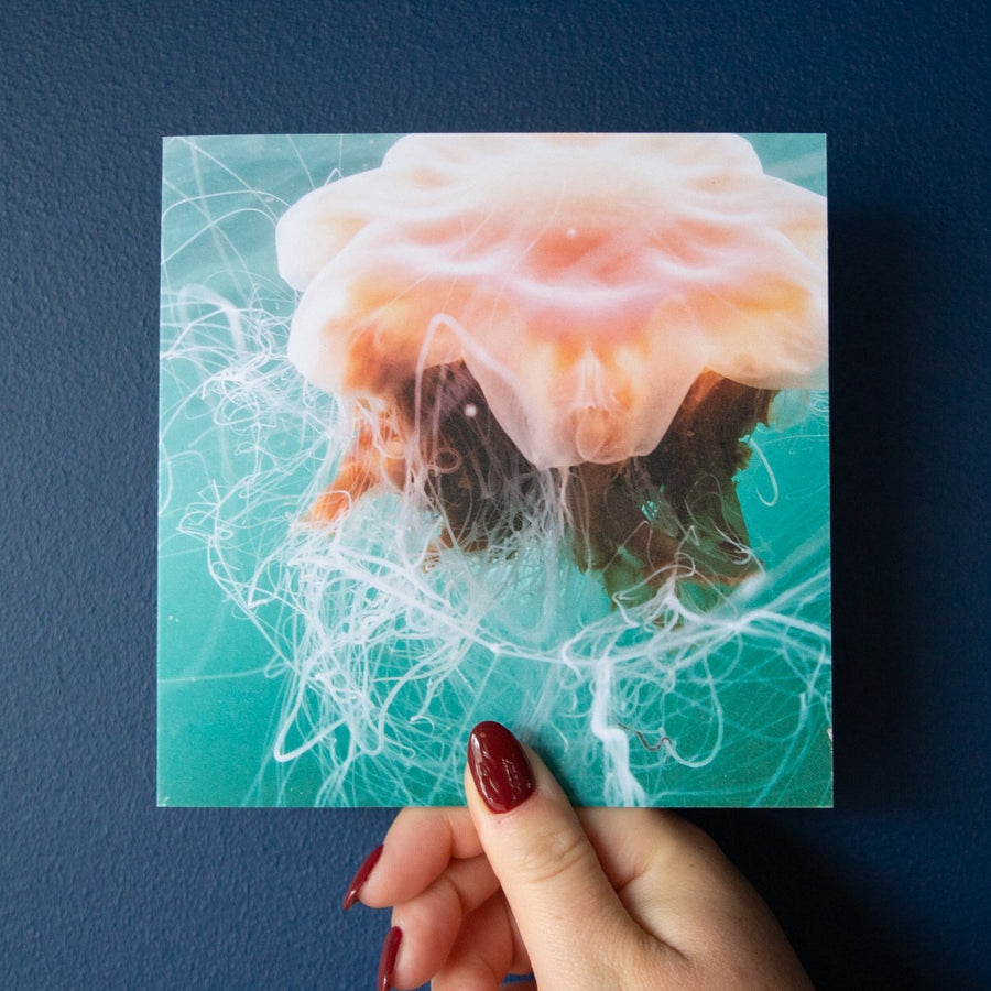 Lion's Mane Jellyfish III Greetings Card