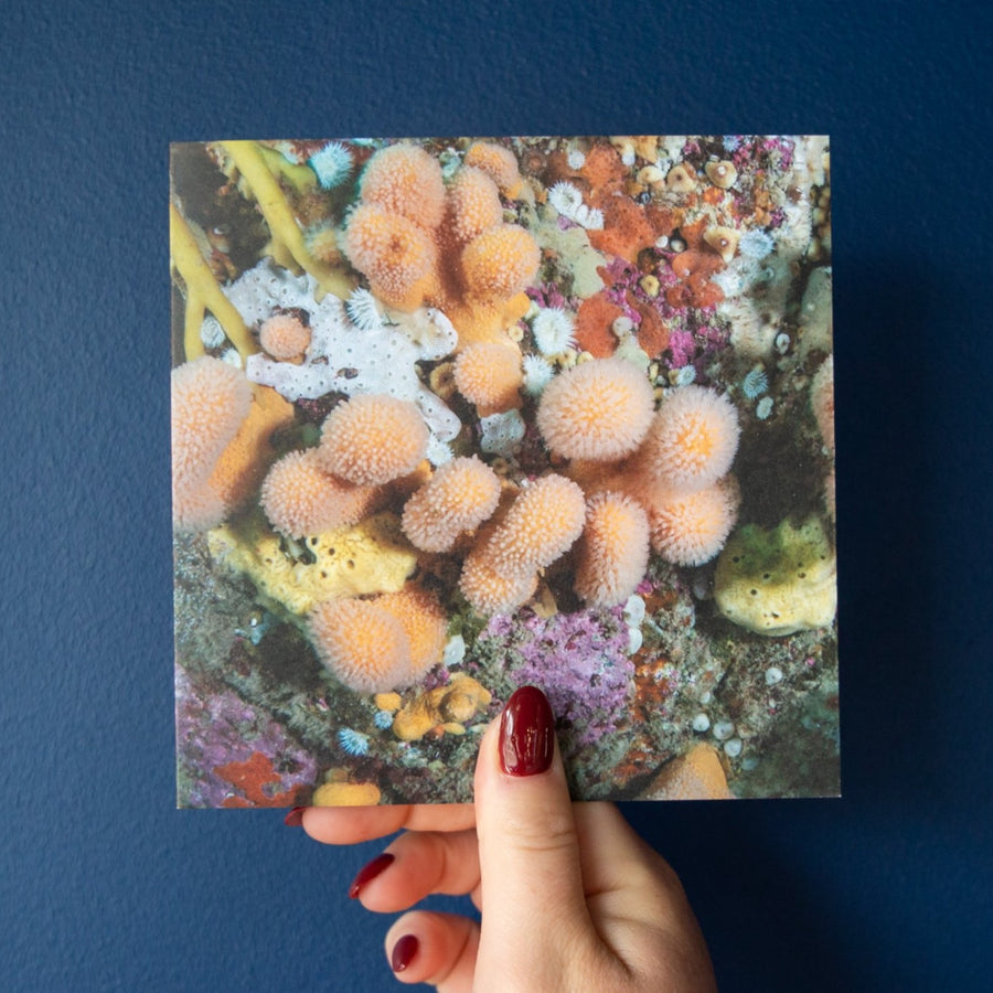 The Facinating Underwater World Greetings Card