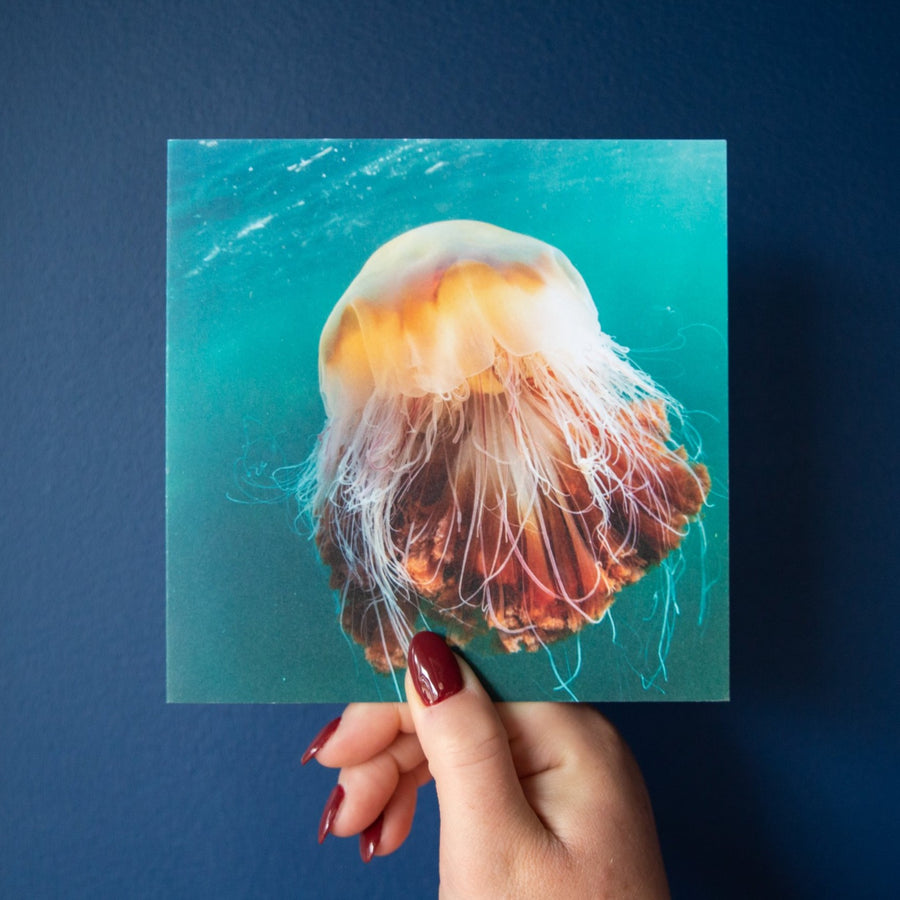 Lion's Mane Jellyfish II Greetings Card