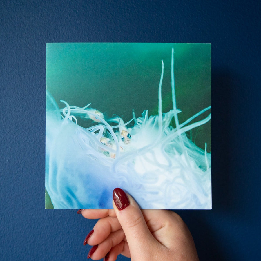 Blue Jellyfish & Friends Greetings Card
