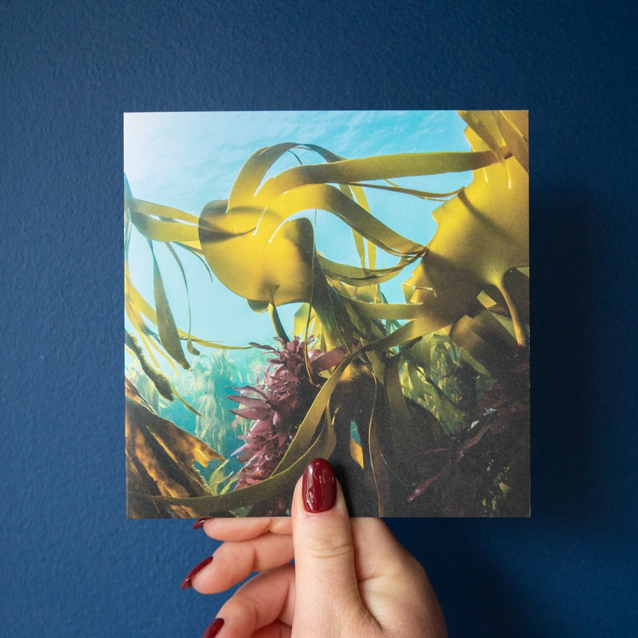 Springtime Kelp Greetings Card