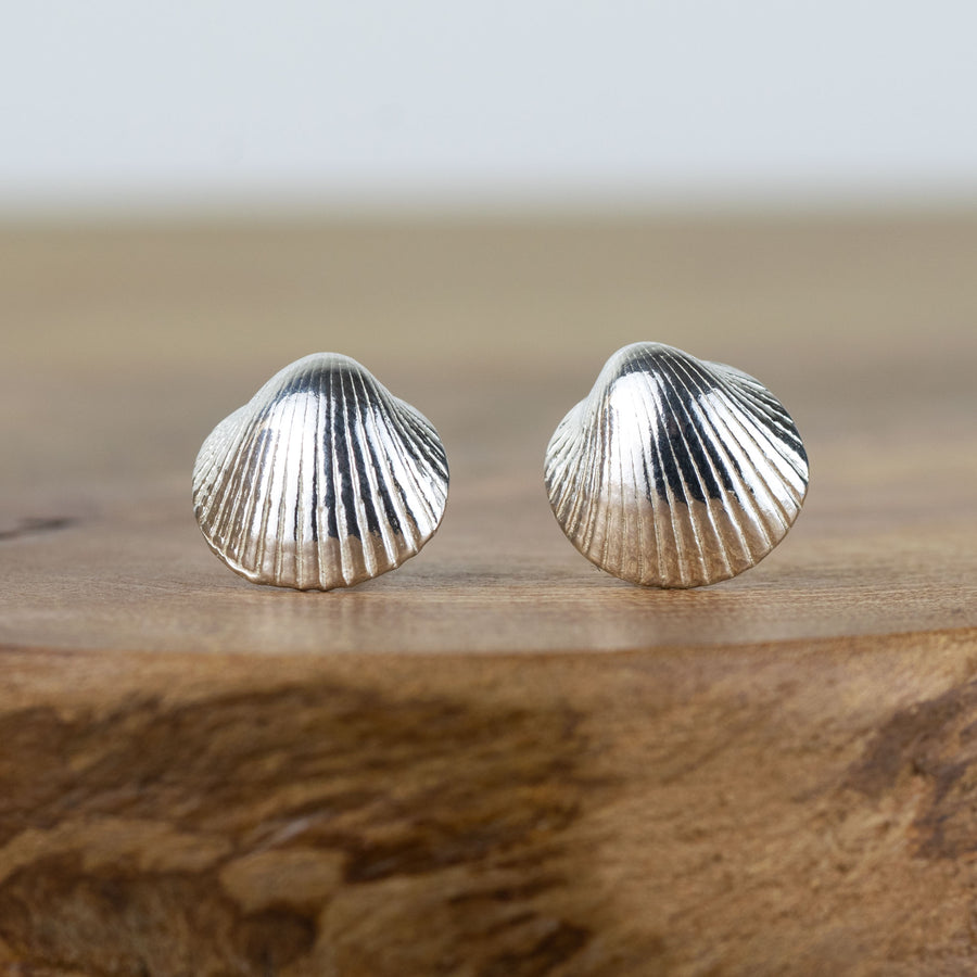Small Silver Cockle Shell Stud Earrings