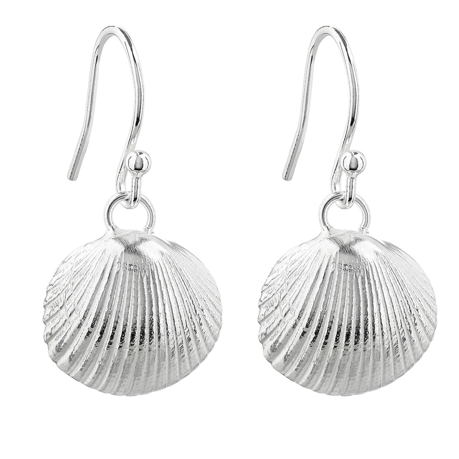 Silver Cockle Shell Hook Earrings