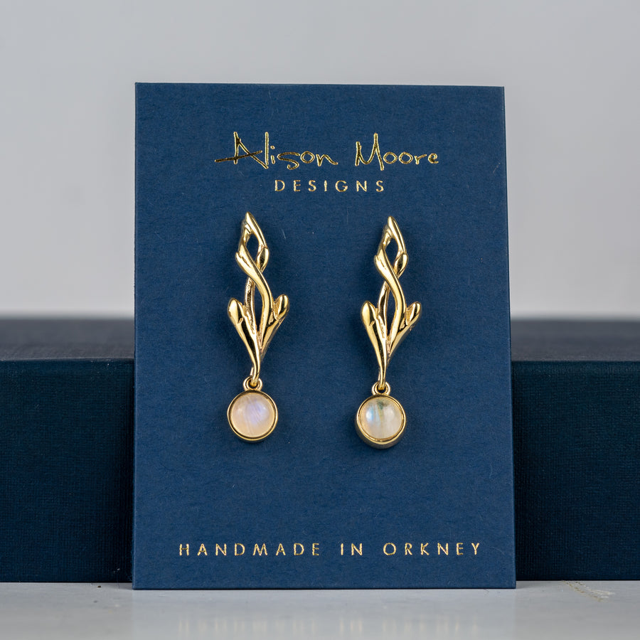 Entwined Moonstone Gold Drop Earrings