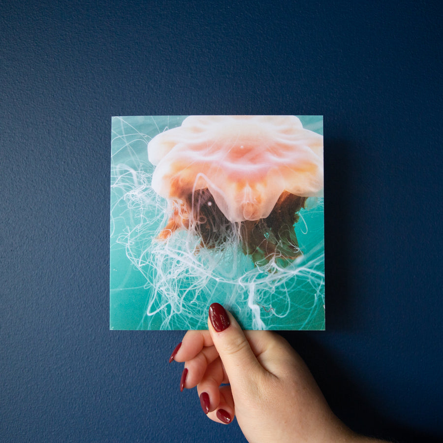 Four Underwater Photography Greetings Cards - Pack Six