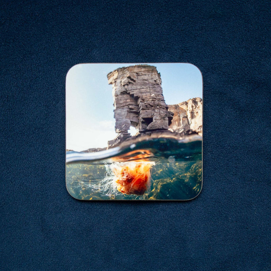 The Lion & The Castle - Orkney Underwater Drinks Coaster